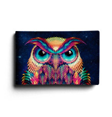 BSN1 «Owl color»