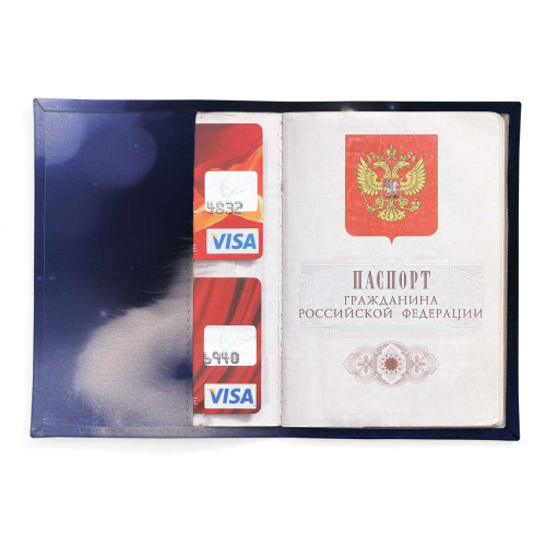 Обложка для паспорта, PAS2 «Cat & Panda»