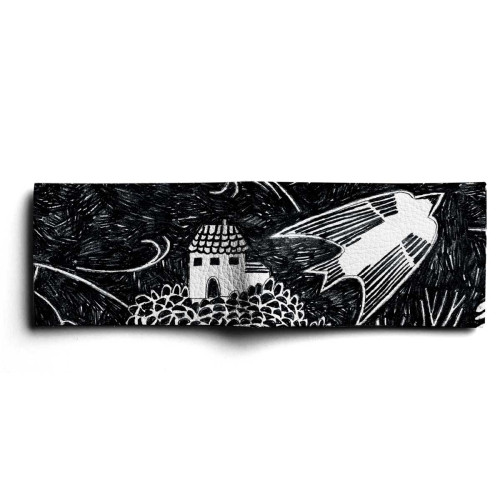 BSN1 «Ласточки»