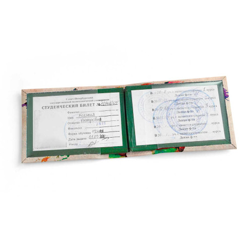 Обложка для студенческого билет STD1 «World map»