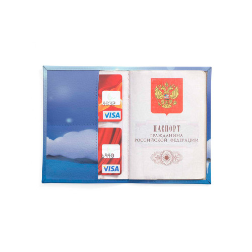 Обложка для автодокументов, AUT2 «Owl in scarf»