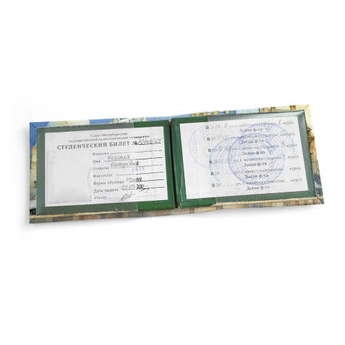 Обложка для студенческого билет STD1 «Tytus brzozowski city»