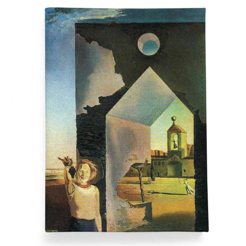 Обложка для паспорта, PAS2 «Dali»