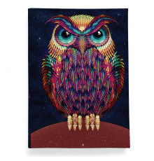 Обложка для паспорта, PAS2 «Owl color»
