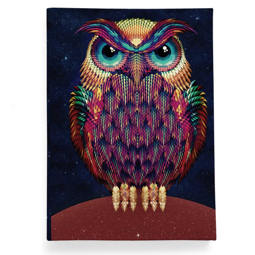 Обложка для паспорта, PAS2 «Owl color»