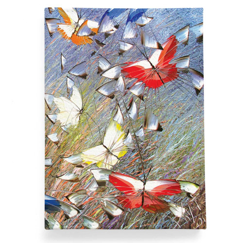 Обложка для паспорта, PAS2 «Утренняя радость »