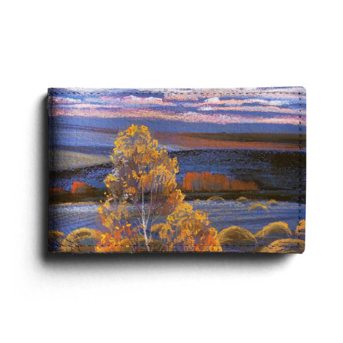 BSN1 «Родные просторы 2»