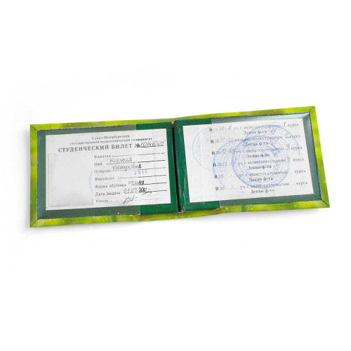 Обложка для студенческого билет STD1 «Sunflower»