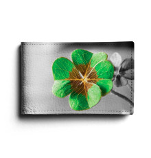 BSN1 «Клевер»