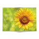 Обложка для автодокументов, AUT2 «Sunflower»