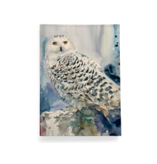 Обложка для автодокументов, AUT2 «На страже»