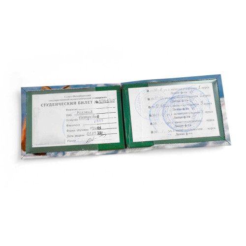 Обложка для студенческого билет STD1 «Mr. Fox»