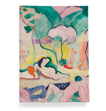 Обложка для паспорта, PAS2 «Buenos Aires Meets Matisse»