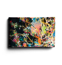 BSN1 «Burst of Color»