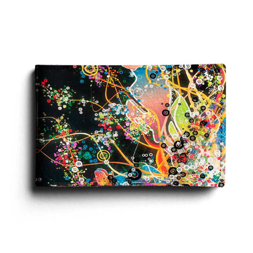 BSN1 «Burst of Color»