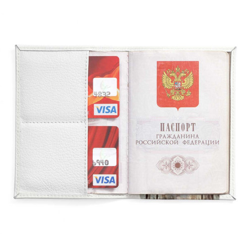 Обложка для паспорта, PAS2 «Owl»