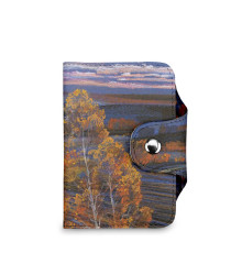 BSN2 «Родные просторы 2»