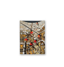 Обложка для документов, PAS3 «Снегири»