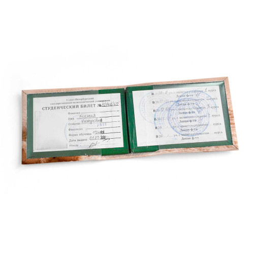 Обложка для студенческого билет STD1 «Медведь»