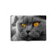Обложка для паспорта, PAS1 «Cat Eyes»