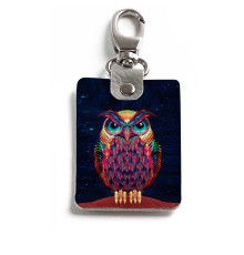 Брелок (Прямоугольный ) TRI1 «Owl color»