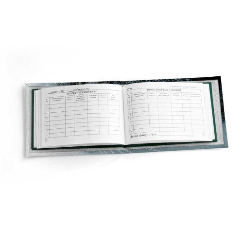 Обложка для зачетной книжки ZTK1 «Cat»