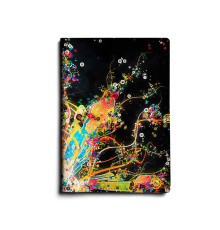 Обложка для паспорта, PAS1 «Burst of Color»