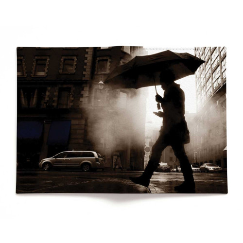 Обложка для автодокументов, AUT2 «Rain man»