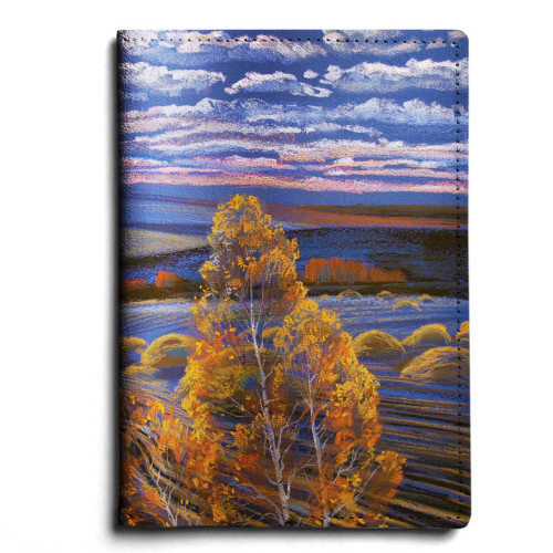 Обложка для паспорта, PAS1 «Родные просторы 2»