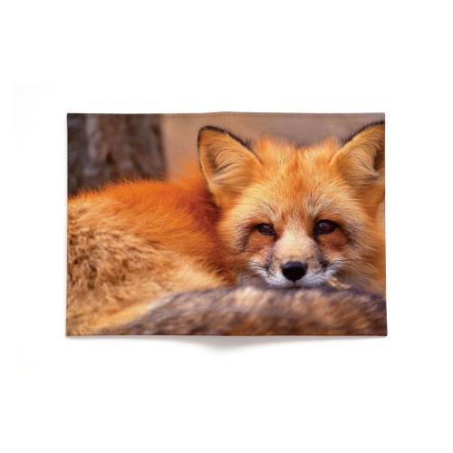 Обложка для паспорта, PAS2 «Лиса горизонтальная»