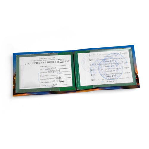 Обложка для студенческого билет STD1 «Мосты»