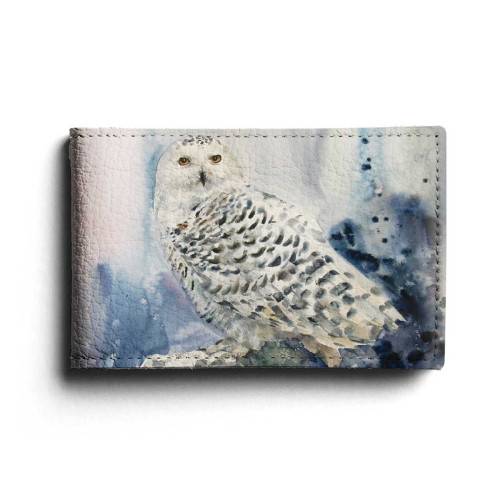 BSN1 «На страже»