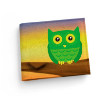 Обложка для зачетной книжки ZTK1 «Owl»