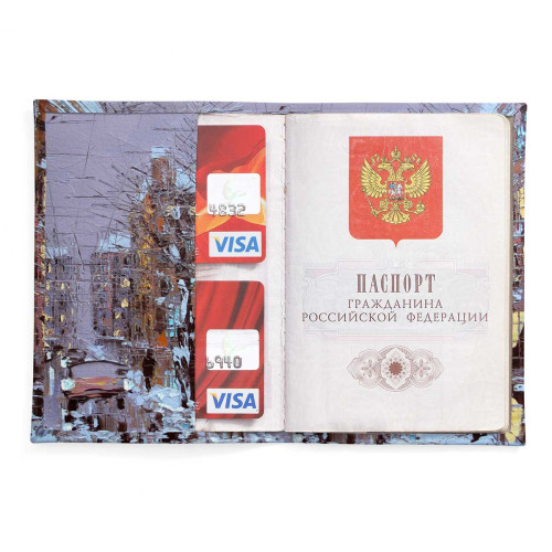 Обложка для паспорта, PAS2 «Зимний Петербург»