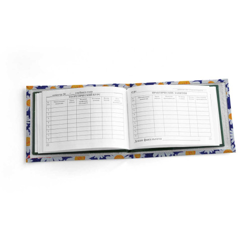 Обложка для зачетной книжки ZTK1 «Ромашки»