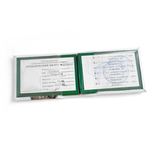 Обложка для студенческого билет STD1 «Owl»