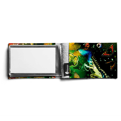 BSN1 «Бабочки 4»