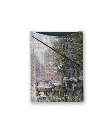 Обложка для документов, PAS3 «Дождь и солнце в Петербурге»