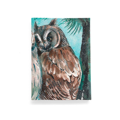 Обложка для автодокументов, AUT2 «Совы»