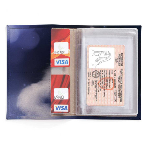 Обложка для автодокументов, AUT2 «Cat & Panda»