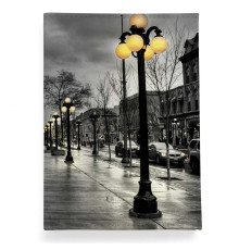 Обложка для паспорта, PAS2 «Фонарь»