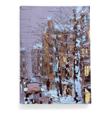 Обложка для паспорта, PAS2 «Зимний Петербург»