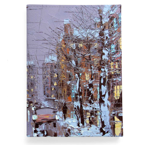 Обложка для паспорта, PAS2 «Зимний Петербург»