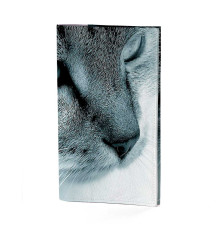 Портмоне PRS3 «Cat»