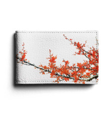 BSN1 «Ветка сакуры»