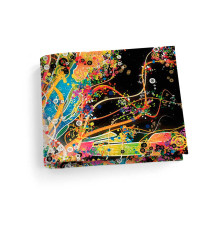 Обложка для студенческого билет STD1 «Burst of Color»