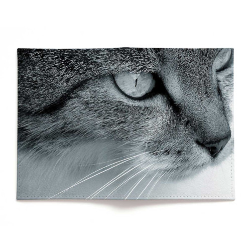 Обложка для паспорта, PAS2 «Cat»