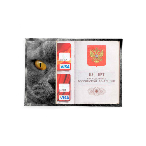 Обложка для автодокументов, AUT2 «Cat Eyes»