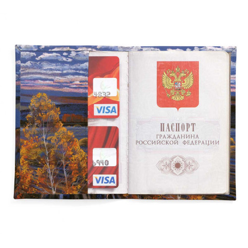 Обложка для паспорта, PAS2 «Родные просторы 2»