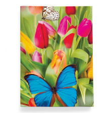 Обложка для автодокументов, AUT2 «Butterfly»